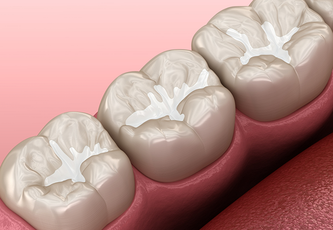 Illustrated row of teeth